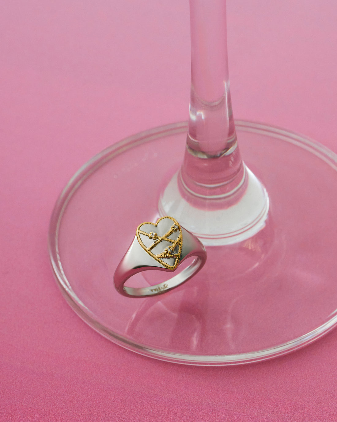 YVIS Bondage Signet Brass Ring - YVIS x PAT CHAYANIT Emotional Support Centre