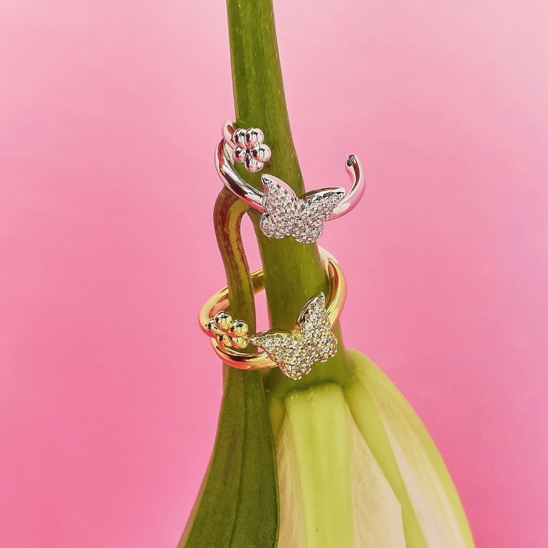 Fairy Ring hover